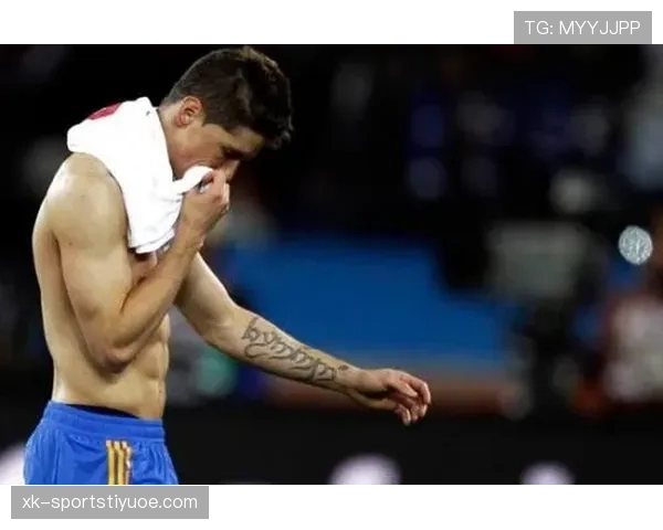 伊布与托雷斯在同盟下锋线组织与终结效率出现分化趋势